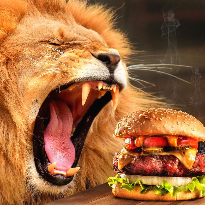 Lion eating