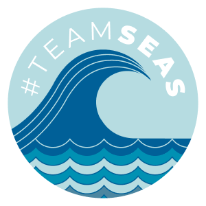 teamseas logo